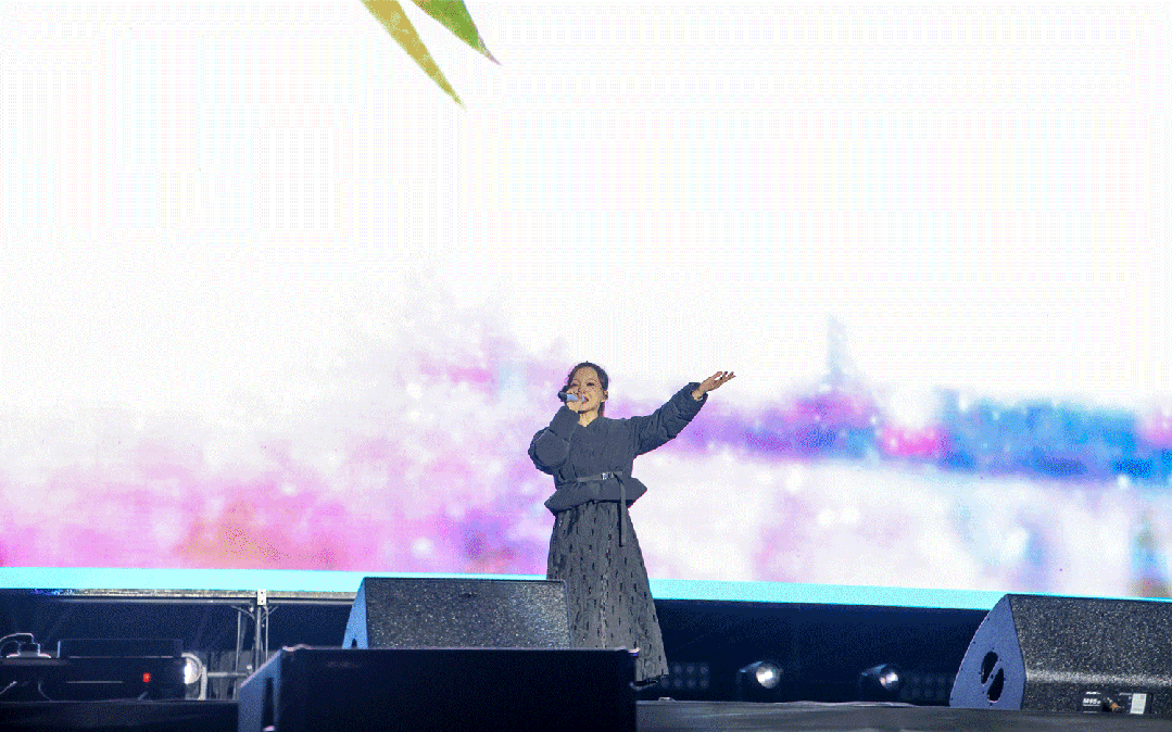 平陽體育中心群星演唱會(huì)！超萬人圍觀，現(xiàn)場火爆High唱！