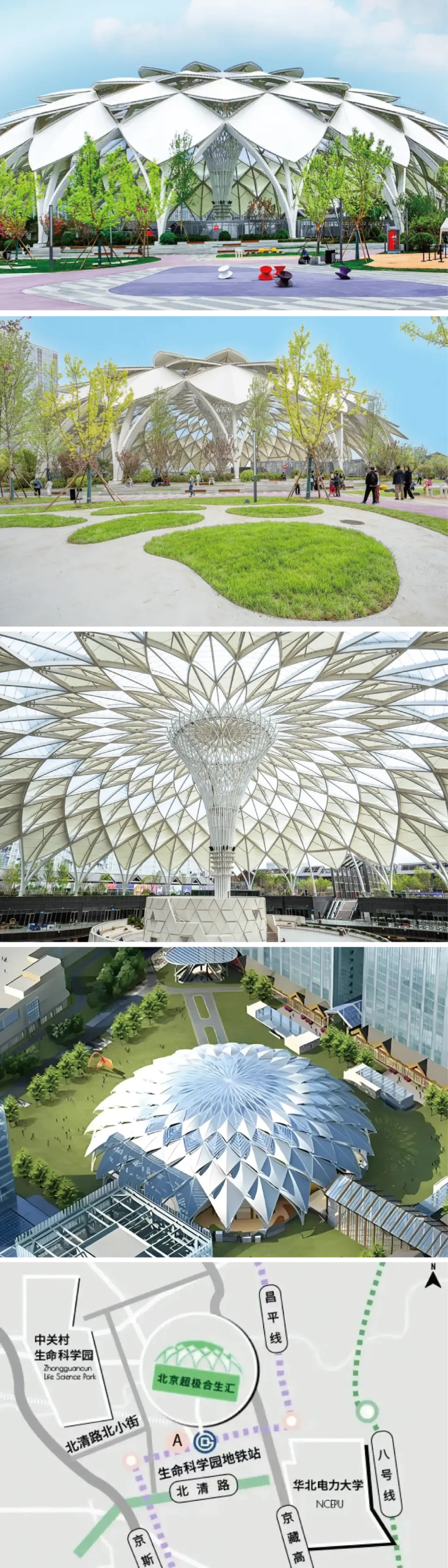 膜結(jié)構(gòu)的魅力—穹頂天幕的魔法時刻