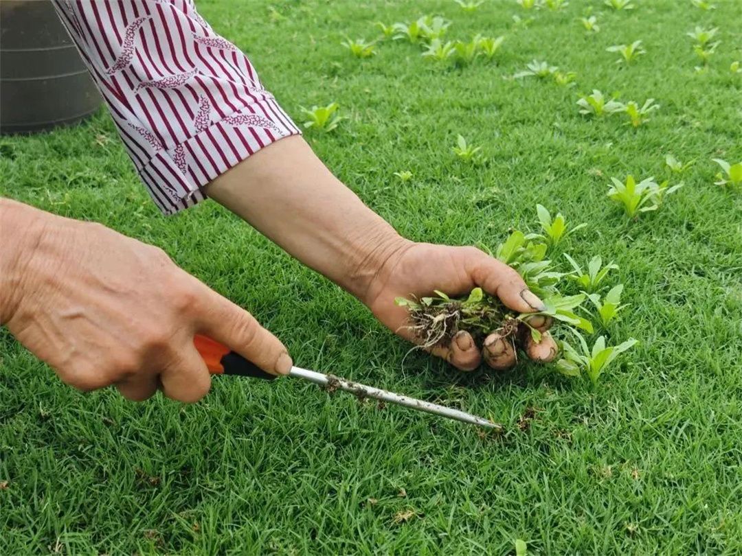 萬豪集團(tuán)匠心助力，6月齊聚重慶龍興足球場(chǎng)為國(guó)足吶喊助威！